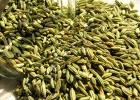 15-most-important-benefits-anise-health.jpg