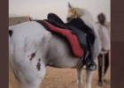 جانب من الفيديو
