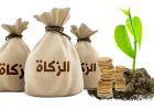 زكاة الفطر
