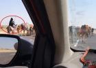فيديو يثير الضجة  لراعيات مواشي في مصر