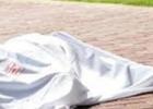 صورة توضيحية