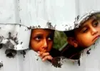 صورة توضيحية