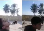جانب من الفيديو