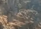 جانب من الفيديو