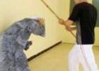 صورة توضيحية