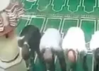 جانب من الفيديو