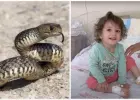 الطفلة المنتقمة
