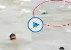 جانب من الفيديو