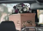صورة توضيحية
