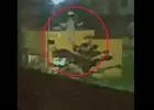 جانب من الفيديو
