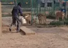 جانب من الفيديو