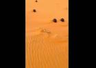 أسطوانات حديدية