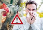 إنفلونزا الطيور