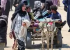 ترحيل الفلسطينيين