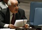 المندوب الدائم لدولة فلسطين لدى الأمم المتحدة رياض منصور
