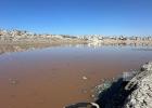 بركة الشيخ رضوان