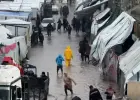 الشتاء في غزة