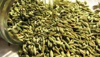 15-most-important-benefits-anise-health.jpg