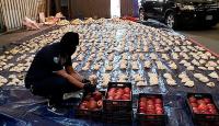 منع استيراد الفواكه من لبنان