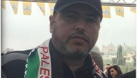 منتصر شلبي