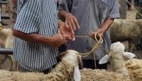 صورة توضيحية