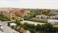 جامعة الاقصى