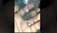 الرصاصة التي اغتالت الصحفية شيرين أبو عاقلة