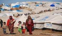مرصد الأزهر: أعداد اللاجئين تمثل صفعة قوية على جبين حقوق الإنسان
