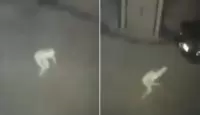 جانب من الفيديو
