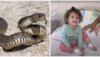 الطفلة المنتقمة