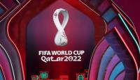 كاس العالم في قطر