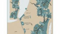 فلسطين