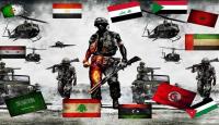الجيوش العربية