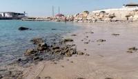 انحسار مياه البحر