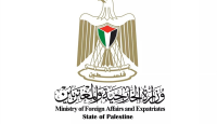 وزارة الخارجية الفلسطينية