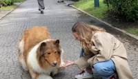 جانب من الفيديو