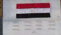 "مخطط سيناء" في مصر
