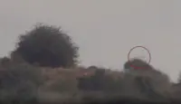 جانب من الفيديو