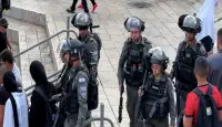 قوات الاحتلال
