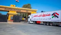 المساعدات المصرية