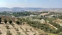 المستوطنات الإسرائيلية