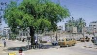 السدرة في شارع يافا وسط غزة