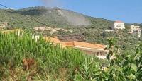 جنوب لبنان