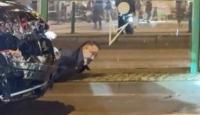 حادث الدهس في ألمانيا