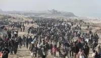 تهجير الفلسطينيين