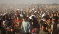 صورة ارشيفية