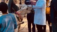 الدكتور عائد نجم خلال عمله