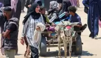 ترحيل الفلسطينيين