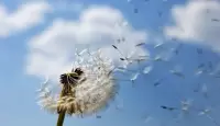 صورة تعبيرية