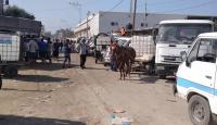 محطة مياه